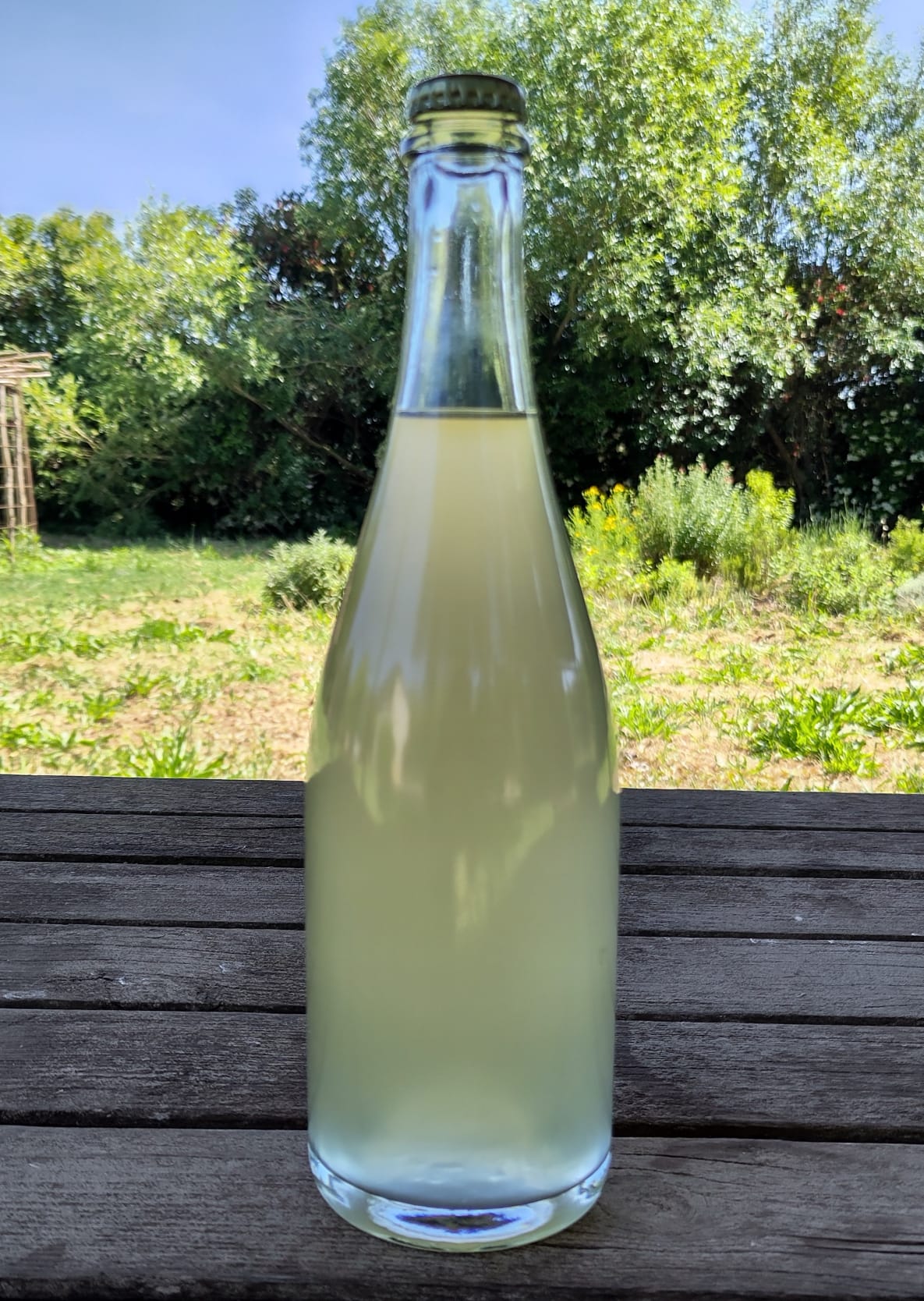 cava_menta_sauc