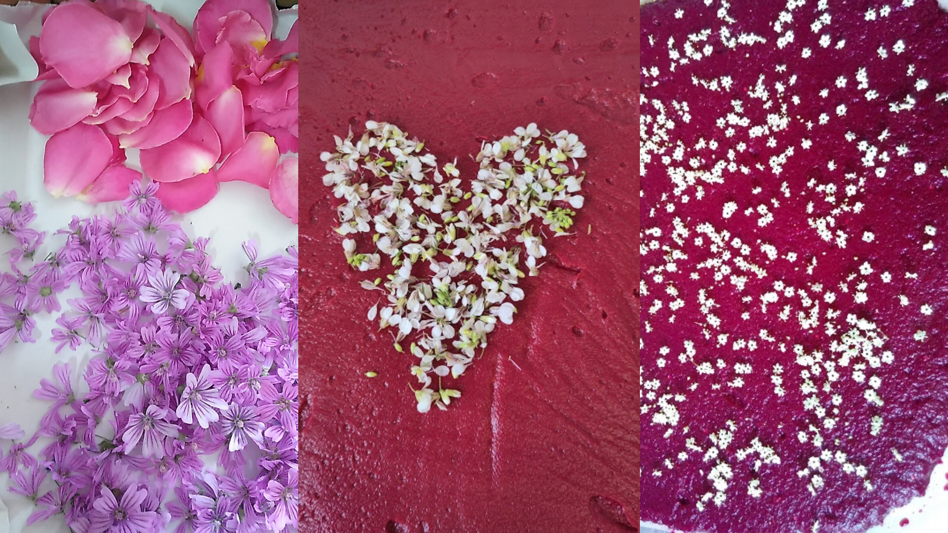 flors_pergamins